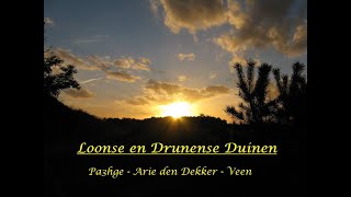 Arie den Dekker  Pa3hge  Veen  Drunen  Loonse en Drunense Duinen  AriedenDekker  Drunen [upl. by Wager]