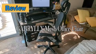 GABRYLLY Ergonomic Mesh Office Chair Review [upl. by Enoryt643]