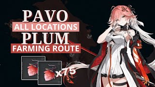 Pavo Plum All Location and Farming Route [upl. by Eob5]