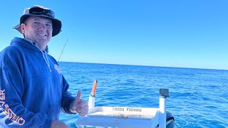 Reef Fishing Masthead Island Queensland Great Barrier Reef [upl. by Arica]