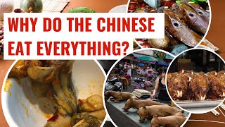 The Dark History Behind Chinese Cuisine [upl. by Ellenohs]