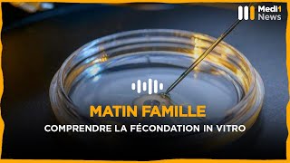 Comprendre la fécondation in vitro [upl. by Ailil800]