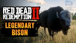 Red Dead Redemption 2 Legendary Animal  Legendary Tatanka Bison [upl. by Sonaj]