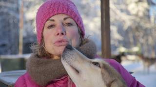 Mushing Explained What Makes Dogs and Mushers Great Partners [upl. by Steinway152]