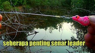 ini salah satu manfaat senar leader untuk casting ikan gabus di spot yang sulit [upl. by Selinda]