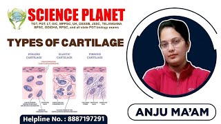 CARTILAGE II SPECIALIZED CONNECTIVE TISSUE II BY ANJU MAM II SCIENCE PLANET II [upl. by Ahsirpac]