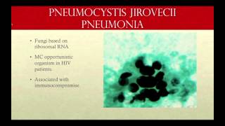 Approach to the patient with Pneumocystis pneumonia [upl. by Nnyw]