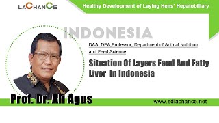 Highlights of Lachance Forum  Situation of Layers Feed and Fatty Liver in Indonesia [upl. by Ysabel]