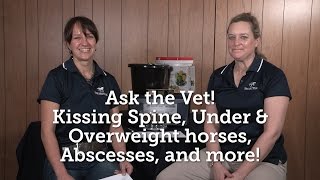 Ask the Vet – Kissing Spine Over and Underweight horses Hoof Abscesses and more – April 2016 [upl. by Seraphina468]