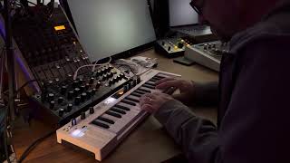 Arturia Keystep 37 arpeggiator improv on a Behringer Model D [upl. by Kostman498]