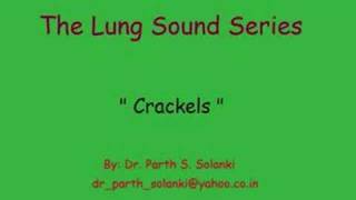 Breath Sounds  Crackels [upl. by Leirvag]