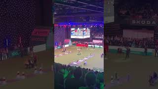 Crufts 2024 Flyball SemiFinal crufts2024 flyball dog [upl. by Tonneson]