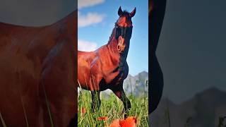 🐴 RARE Horses YOU MISSED in RDR2 shorts reddeadredemtion2 [upl. by Roosevelt]