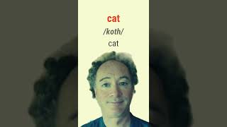 How to say Cat in Irish bitesizeirish [upl. by Mathias]