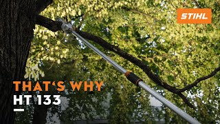 STIHL HT 133 pole pruner  Light weight amp high power  Thats why [upl. by Roxy501]