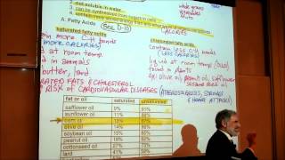 BIOLOGICAL CHEMISTRISTY PART 2 POLYSACCHARIDES amp FATTY ACIDS by Professor Fink [upl. by Dimah439]