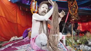 इस अघोरी बाबा का बाल कितना बड़ा है देखो  Naga Sadhu Hair Style KumbhMela [upl. by Asyen]