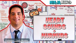 Heart Sounds amp Murmurs  Clinical Medicine [upl. by Eissat]