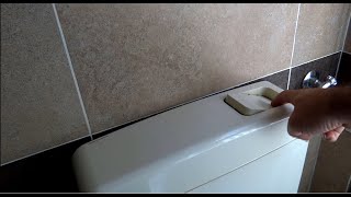 Come cambiare lo sciacquone del bagno  How to replace toilet flush [upl. by Nairadas]