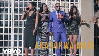 Stunner  Akarohwa Mari Official Video ft Ba Shupi DJ Towers [upl. by Mathias]