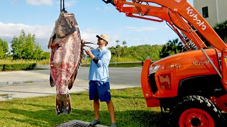 How to Clean and Cook a 300lb Grouper [upl. by Urien]