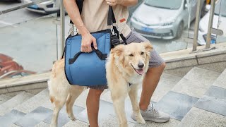 COODEO Dog Carry Sling Emergency Backpack Pet Legs Support amp Rehabilitation Dog Lift Harness [upl. by Lourdes]