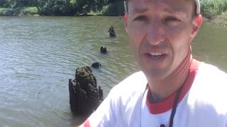 Paddleboarding at the 1916 Matawan shark attack site [upl. by Atterrol651]