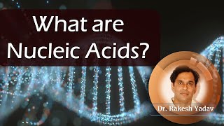 What are Nucleic acids  Dr Rakesh Yadav nucleicacids nucleicacid [upl. by Odrareve]