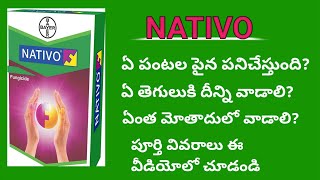 Best fungicide Bayer Nativo full specifications In teluguNativo fungicide full informationagri [upl. by Teodora]