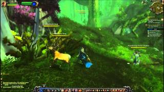 Forces of Nature Wisps Quest  World of Warcraft [upl. by Quinta]