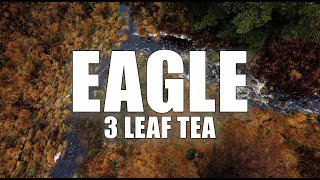 EAGLE  3 Leaf Tea  Music Lyric Video [upl. by Willman821]