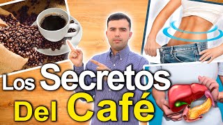 Secretos Del Café Que Nadie Conoce  Para Qué Sirve Beneficios Y Contraindicaciones  Salud [upl. by Lowney]