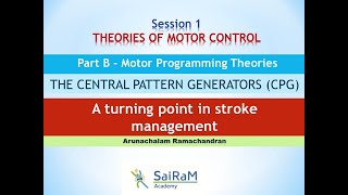 THEORIES OF MOTOR CONTROL Part B  Motor Programming Theories quotTHE CENTRAL PATTERN GENERATORSquot [upl. by Mcilroy60]