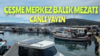 ÇEŞME MERKEZ BALIK MEZATI CANLI YAYIN 19032024 [upl. by Ulla]