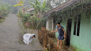 Super heavy rain and strong winds in my village  Sleep instantly with the sound of heavy rain [upl. by Naut]