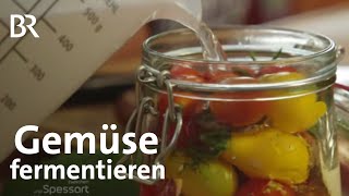 Gemüse fermentieren Haltbar machen durch milchsaure Gärung  Zwischen Spessart und Karwendel  BR [upl. by Lrub334]