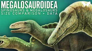 SPINOSAURS and other MEGALOSAUROIDS  Dinosaurs size comparison and data [upl. by Nohsad]