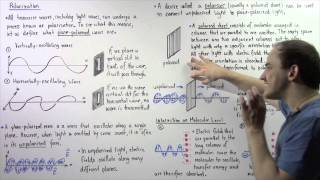 PlanePolarized Light and Polarization [upl. by Idoux]