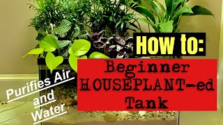 🪴🐟🪴‼️How to Build a Beginner Houseplanted Fish Tank RIPARIUM🪴🐟🪴‼️ [upl. by Mukul48]