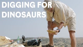 Paleontologists dig for Jurassic dinosaur fossils [upl. by Strander]