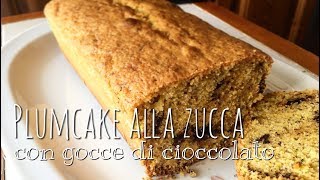 PLUMCAKE ALLA ZUCCA CON GOCCE DI CIOCCOLATO  senza burro [upl. by Baily]