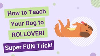 How to teach Your Dog to ROLLOVER Super FUN Trick [upl. by Nylarad960]