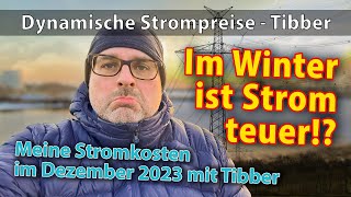 Ist Strom im Winter wirklich teurer Wie hoch ist mein Arbeitspreis mit Tibber im Dezember 2023 [upl. by Aianat700]