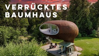 PETER BAUT  Das verrückteste Baumhaus der Welt  Teil 1  die Idee [upl. by Anaeirb]