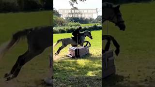 Ma fusée 😂🚀🫶 cross cce eventing equitation concours cheval jument [upl. by Chill]