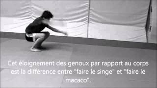 Macaco apprentissage HD [upl. by Denbrook]