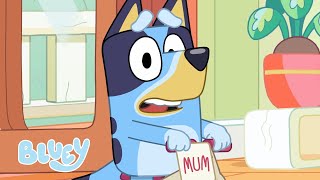 No More Squabbling 😮 💌  Bluey Season 2 Highlight  Postman  Bluey [upl. by Gideon]