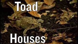 Building Toad Houses [upl. by Aihsenal]