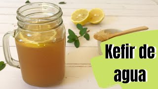 Cómo hacer KEFIR DE AGUA TIBICOS [upl. by Yllib610]