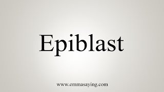 How To Say Epiblast [upl. by Novyert873]